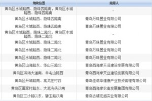 万科6.4亿摘地西海岸新添百万方大盘”