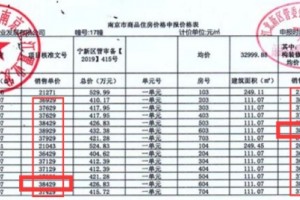 南京楼市冰火两重天有盘破限价提价有盘一套都卖不掉……”