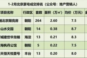 当销冠晋级归来抄底望京的最终机遇”