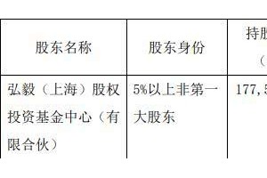 城投控股股东弘毅上海减持798.68万股股份占总股本0.3157％”