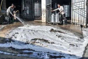 牛奶卖不出去倒掉也不送给贫民那房子呢会降价卖给贫民么”