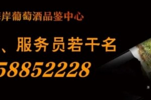 苍南又一地块被拍走成交价27400000元”